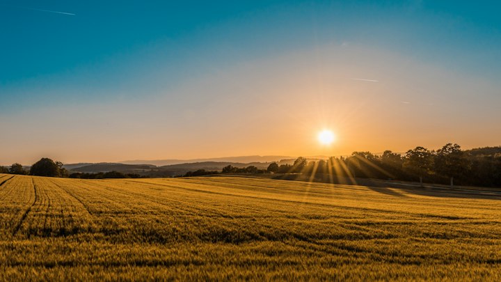 Agricultural fields and crops