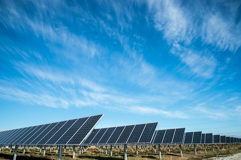 Solar panels arranged across a renewable energy site